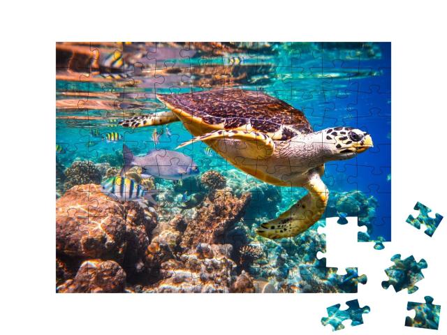 Puzzle de 100 pièces « Tortue imbriquée dans le récif corallien »