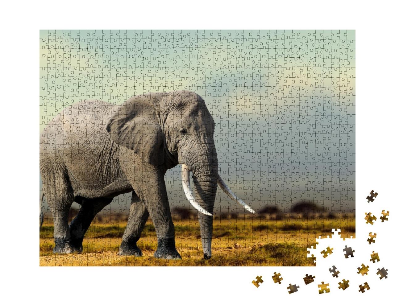 Puzzle de 1000 pièces « Eléphant d'Afrique, Parc national de Masai Mara, Kenya »