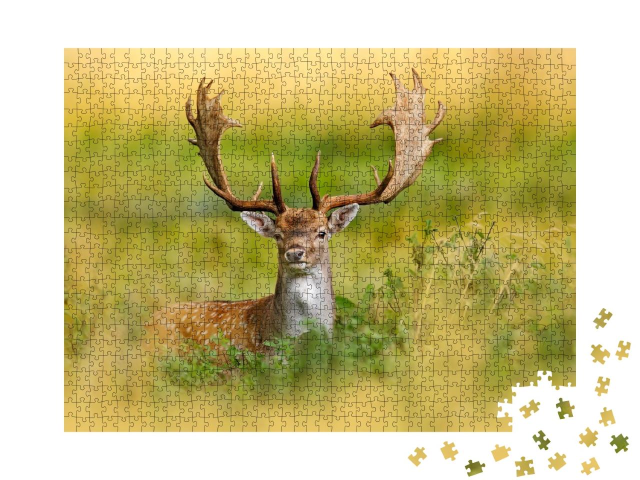 Puzzle de 1000 pièces « Daim majestueux dans la forêt d'automne, Dyrehave, Danemark »