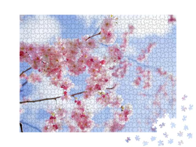 Puzzle de 1000 pièces « Sakura : des cerisiers en fleurs roses au printemps japonais »