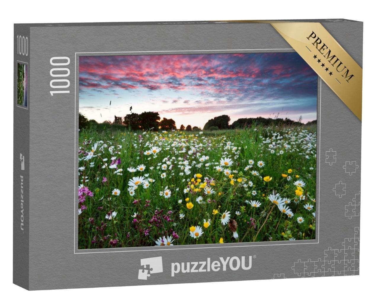 Puzzle de 1000 pièces « Fleurs sauvages d'été sur la prairie au coucher du soleil »