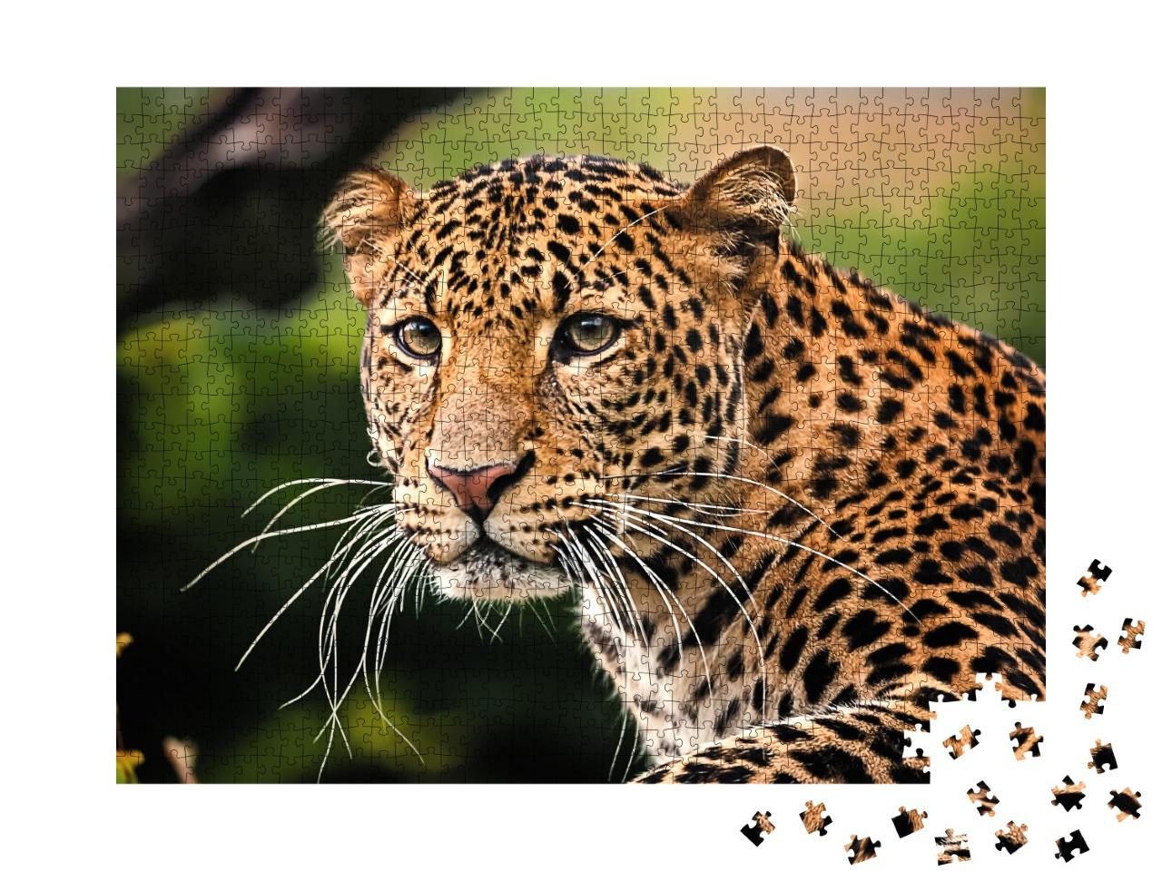 Puzzle de 1000 pièces « Le portrait du léopard de Java »