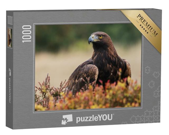 Puzzle de 1000 pièces « Un aigle royal regarde autour de lui »