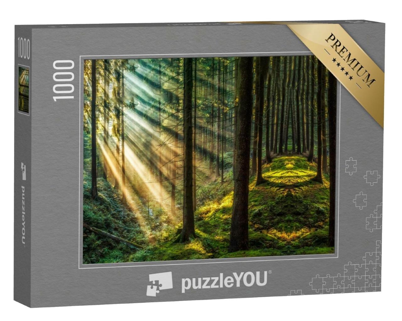 Puzzle de 1000 pièces « Forêt sombre avec rayons de soleil »