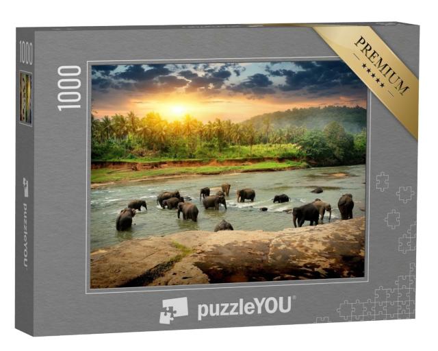 Puzzle de 1000 pièces « Troupeau d'éléphants se baignant dans la jungle du Sri Lanka »