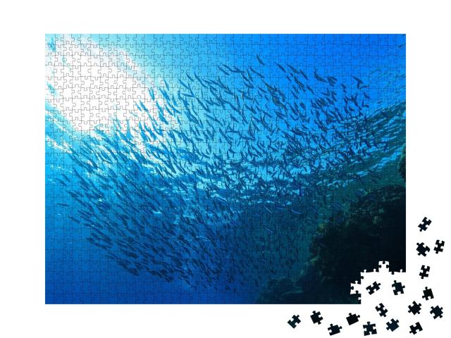 Puzzle de 1000 pièces « Banc de petits poissons près d'un récif corallien en mer Rouge »
