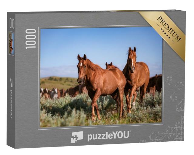 Puzzle de 1000 pièces « Troupeau de chevaux de ranch américains Quarter Horse, Montana »