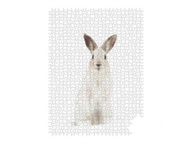 Puzzle de 1000 pièces « Le lièvre blanc dans son habitat naturel »