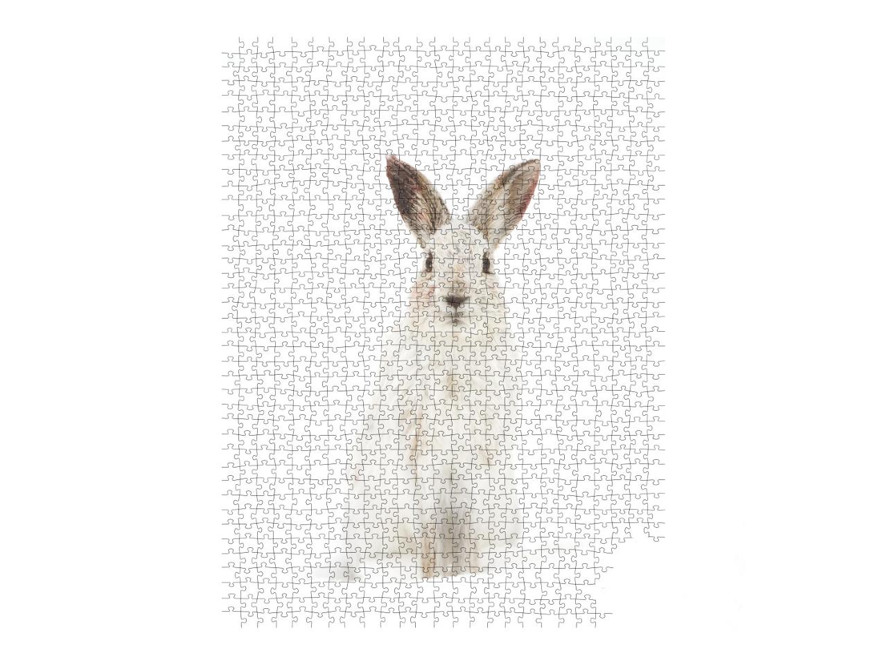 Puzzle de 1000 pièces « Le lièvre blanc dans son habitat naturel »