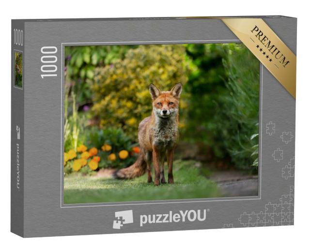Puzzle de 1000 pièces « Gros plan sur un renard roux »