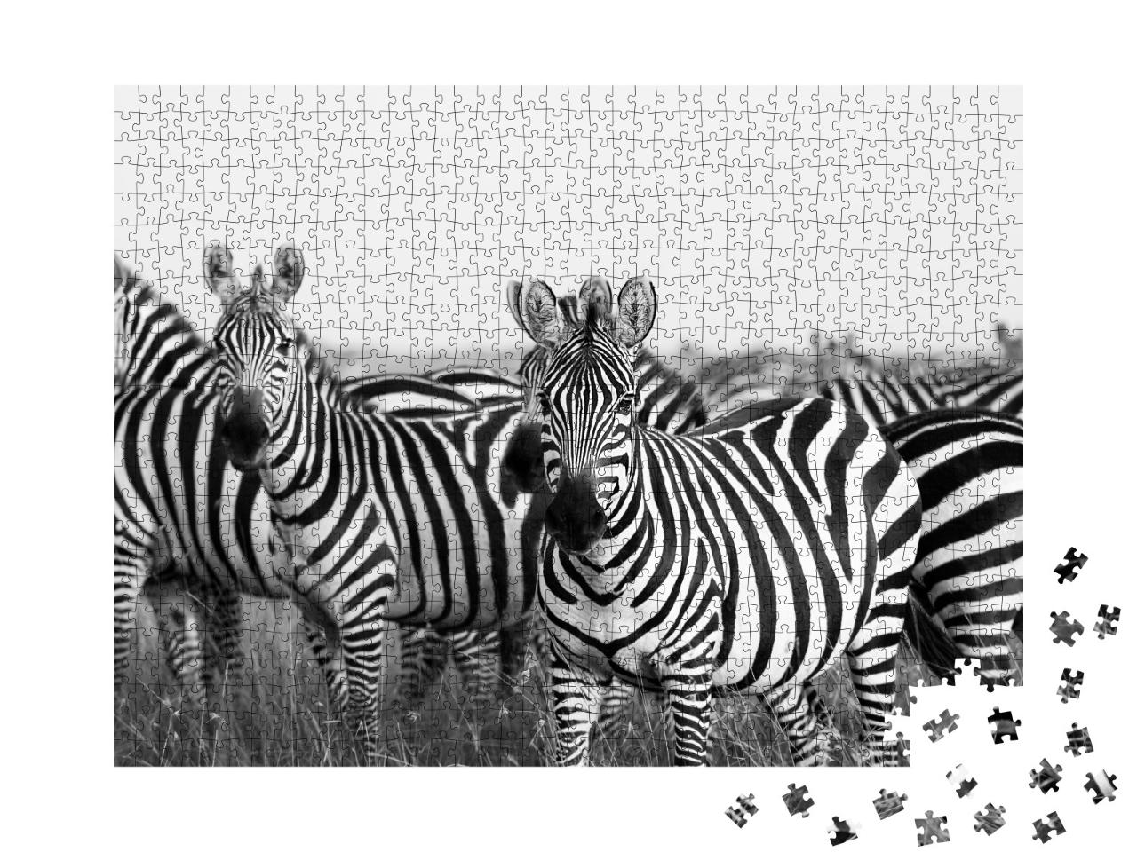Puzzle de 1000 pièces « Troupeau de zèbres au Masai Mara »