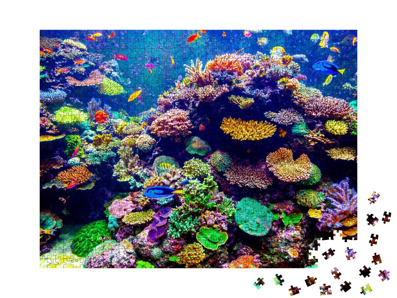 Puzzle de 1000 pièces « Aquarium de Singapour - Coraux et poissons tropicaux »