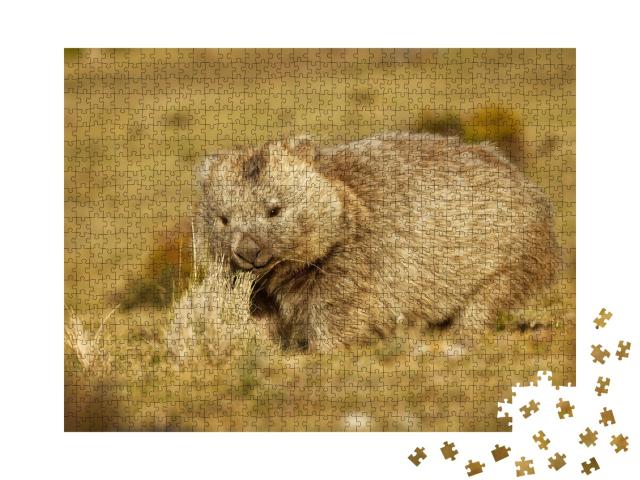 Puzzle de 1000 pièces « Wombat dans la Tasmanie du soir »