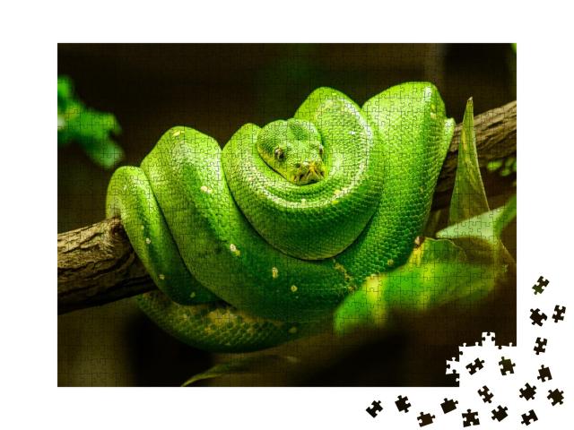 Puzzle de 1000 pièces « Serpent vert sur la branche »