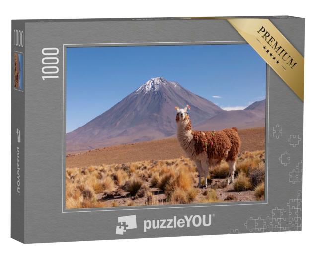 Puzzle de 1000 pièces « Lama, derrière lui le volcan Licancabur à la frontière entre la Bolivie et le Chili »