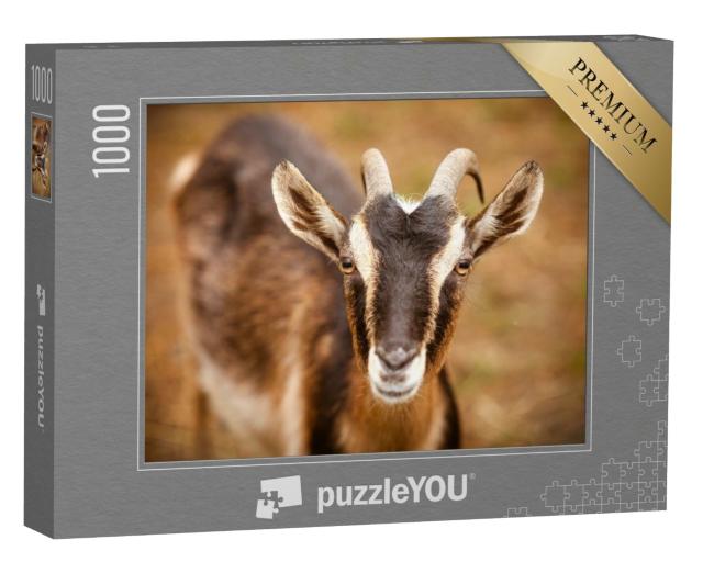 Puzzle de 1000 pièces « Portrait d'une chèvre dans une ferme »
