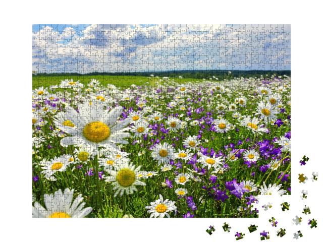 Puzzle de 1000 pièces « Paysage d'été avec prairie fleurie et fleurs »