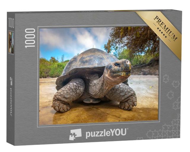 Puzzle de 1000 pièces « Tortue des Galapagos, Équateur »