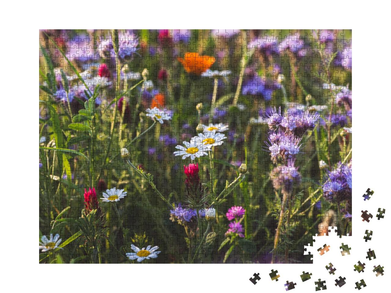 Puzzle de 1000 pièces « Prairie d'herbes aromatiques à floraison multicolore avec phacélie et soucis à fleurs violettes »