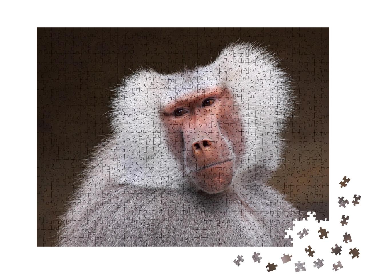 Puzzle de 1000 pièces « Portrait d'un babouin pensif »