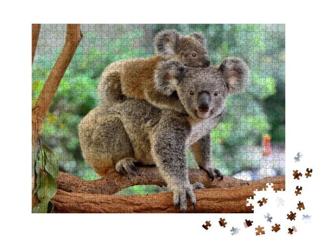 Puzzle de 1000 pièces « Mère koala avec bébé sur le dos sur un eucalyptus »