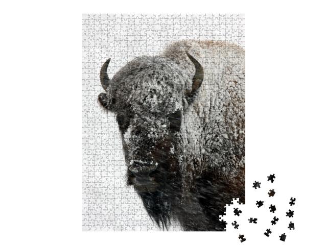 Puzzle de 1000 pièces « Bison dans la neige, parc national de Yellowstone »