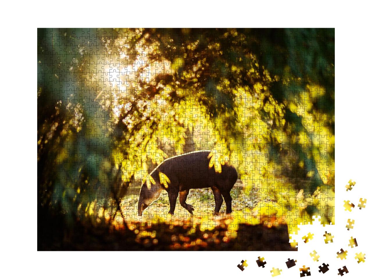 Puzzle de 1000 pièces « Tapir au soleil dans la forêt d'un zoo »