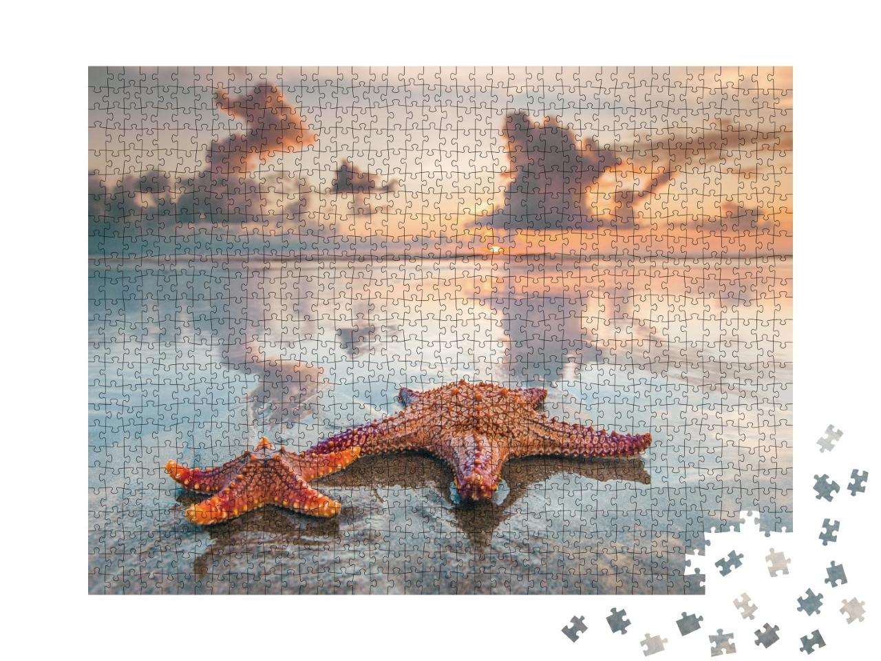 Puzzle de 1000 pièces « Deux étoiles de mer sur une plage de Bali »
