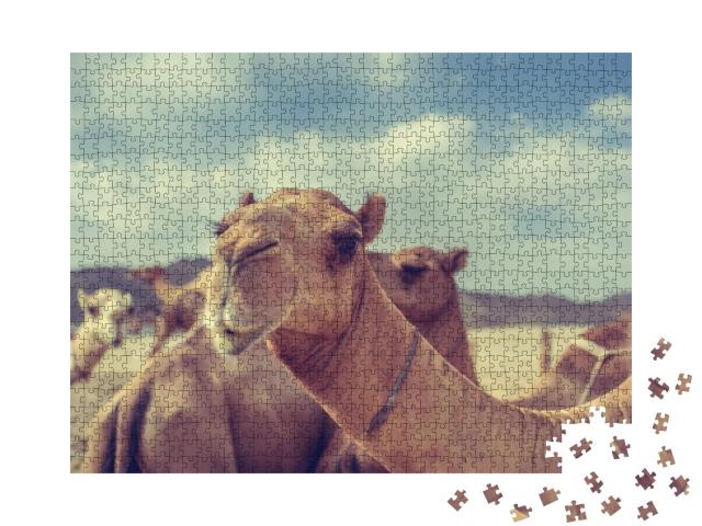 Puzzle de 1000 pièces « Les chameaux en Arabie saoudite »
