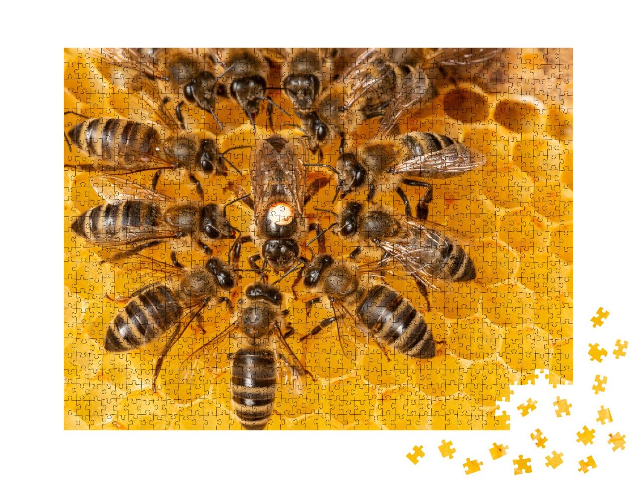 Puzzle de 1000 pièces « Reine des abeilles entourée d'ouvrières »