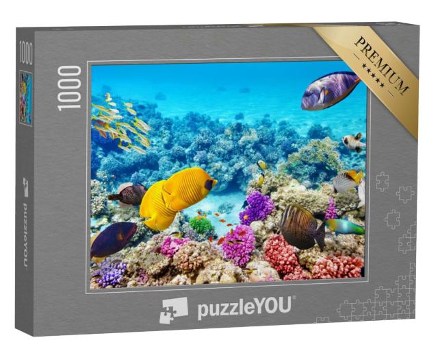 Puzzle de 1000 pièces « Le monde sous-marin avec ses coraux et ses poissons tropicaux »