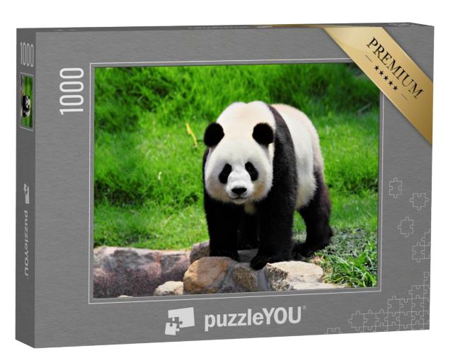 Puzzle de 1000 pièces « Panda »