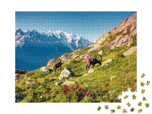 Puzzle de 1000 pièces « Bouquetin des Alpes sur fond de Mont-Blanc dans le parc naturel du Vallon de Bérard, Chamonix, Alpes grises »