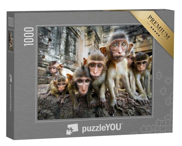 Puzzle de 1000 pièces « Bébés singes curieux, Lopburi, Thaïlande »
