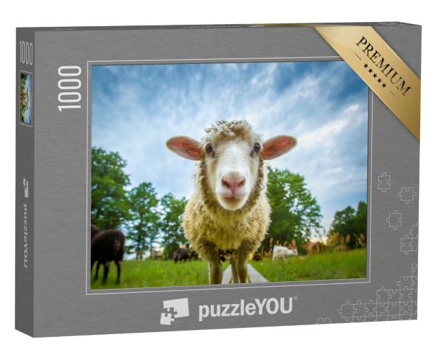 Puzzle de 1000 pièces « Les yeux dans les yeux avec un mouton »