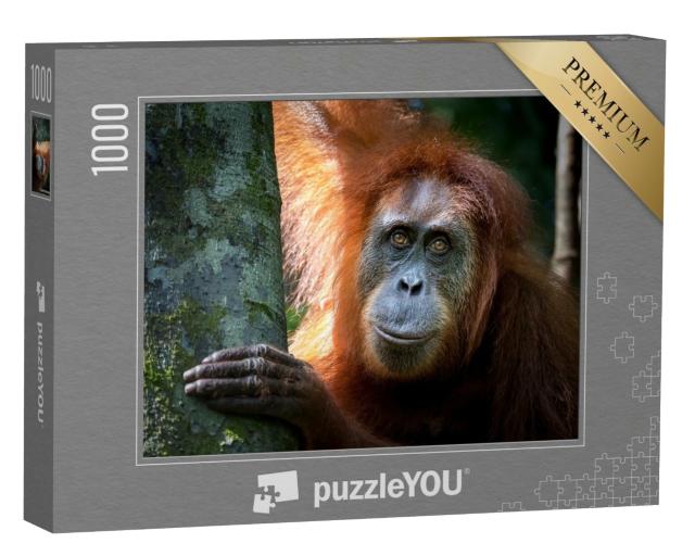 Puzzle de 1000 pièces « Portrait du célèbre orang-outan de Sumatra menacé d'extinction »