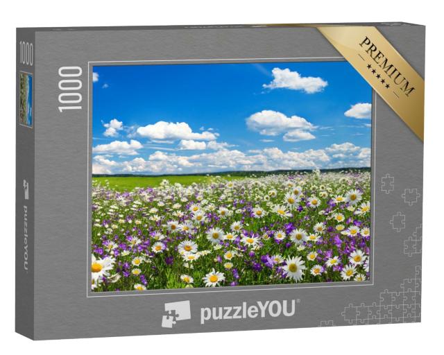 Puzzle de 1000 pièces « Paysage printanier avec fleurs en fleurs »