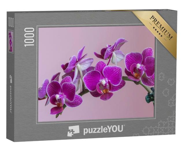 Puzzle de 1000 pièces « Orchidée papillon de nuit comme magnifique orchidée violette »