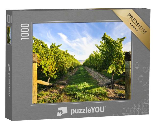 Puzzle de 1000 pièces « Série de vignobles par beau temps »