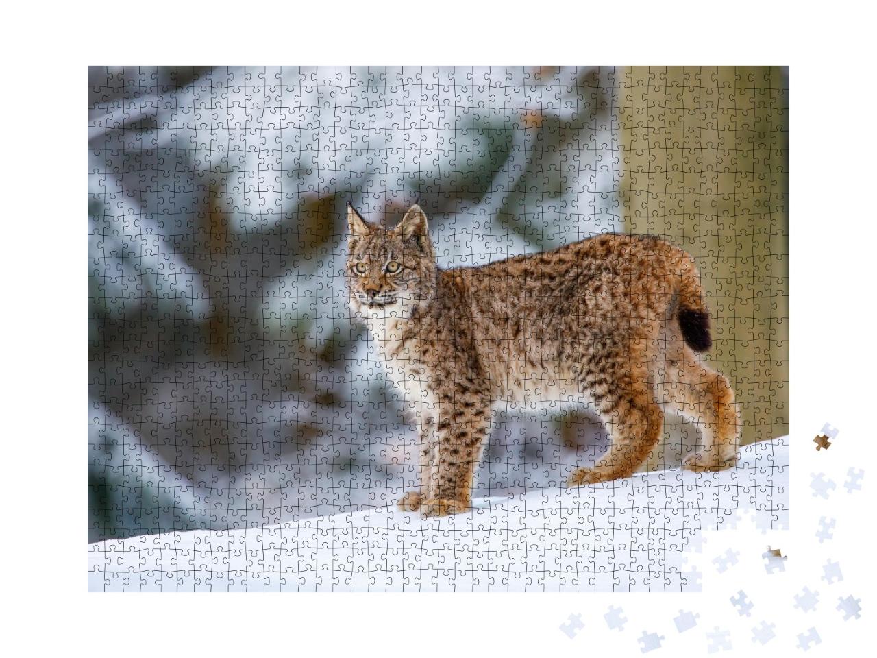 Puzzle de 1000 pièces « Le lynx d'Eurasie en hiver »