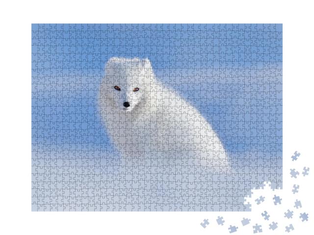 Puzzle de 1000 pièces « Renard polaire blanc dans son habitat naturel, Svalbard, Norvège »