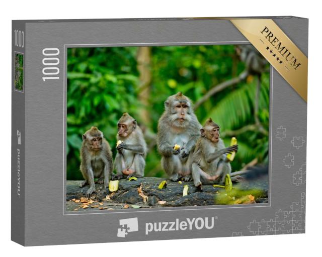 Puzzle de 1000 pièces « Des singes adultes mangent des bananes, Bali »