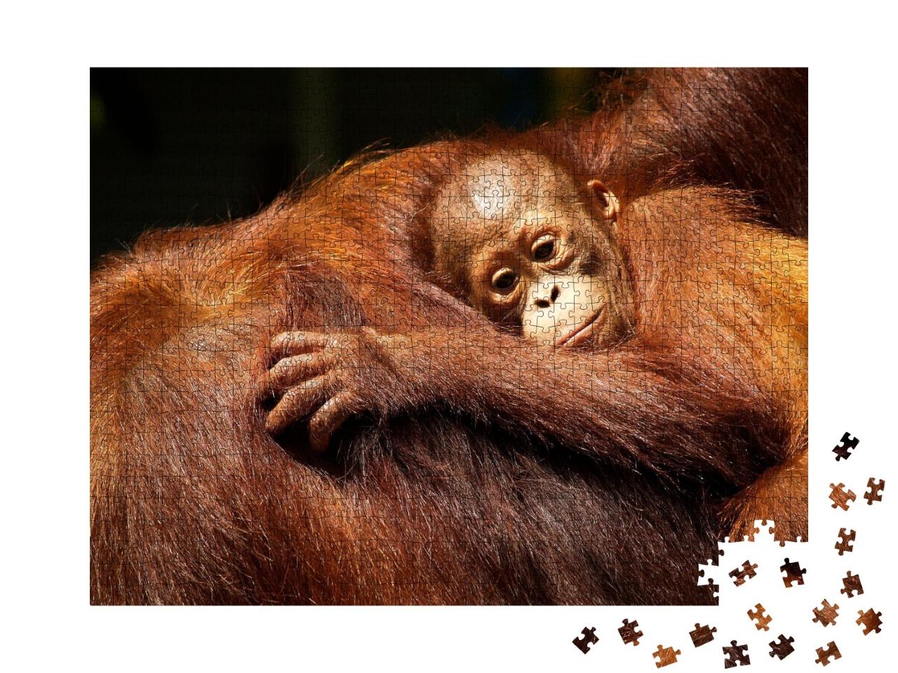 Puzzle de 1000 pièces « Une femelle orang-outan et son bébé dans la forêt tropicale »