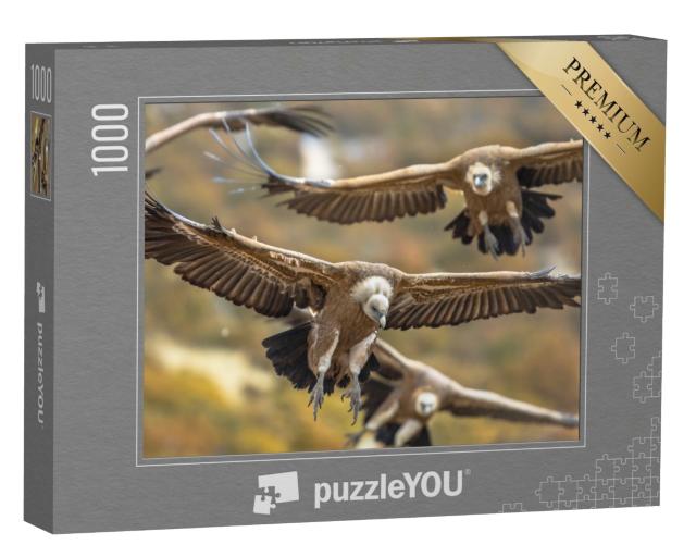 Puzzle de 1000 pièces « Vautours fauves volants dans les Pyrénées espagnoles »