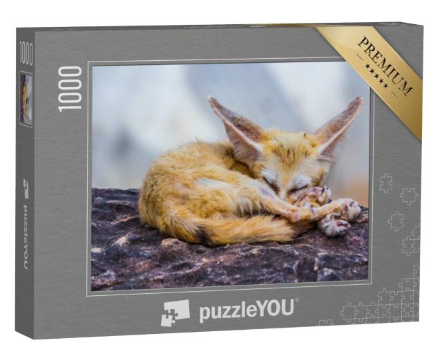 Puzzle de 1000 pièces « Petit renard fennec endormi »
