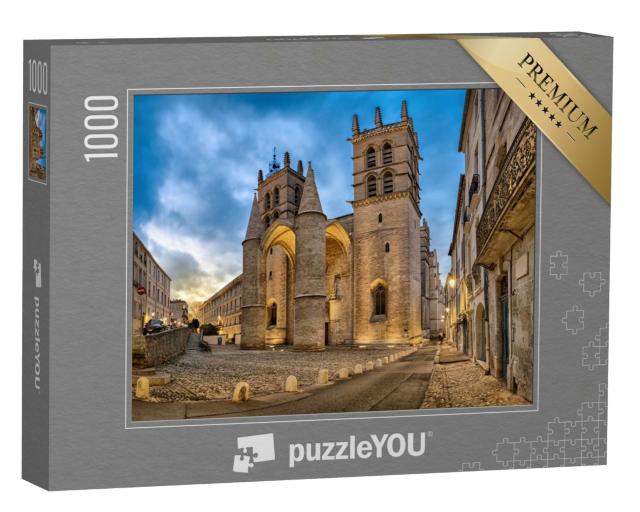 Puzzle de 1000 pièces « Cathédrale gothique Saint-Pierre au crépuscule à Montpellier, Occitanie, France »