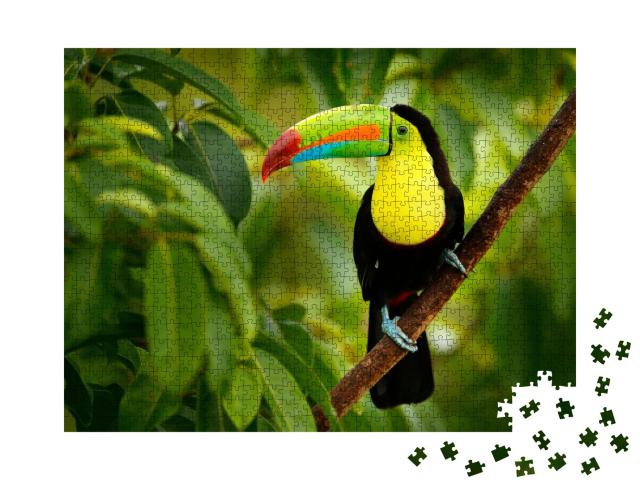 Puzzle de 1000 pièces « Toucan au Costa Rica »
