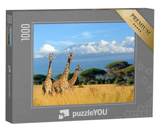 Puzzle de 1000 pièces « Trois girafes dans le parc national du Kenya »