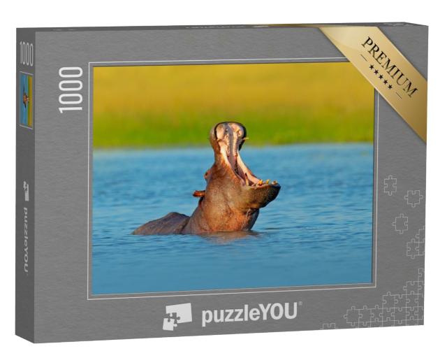 Puzzle de 1000 pièces « Hippopotame avec le museau ouvert dans l'eau, Botswana, Afrique »