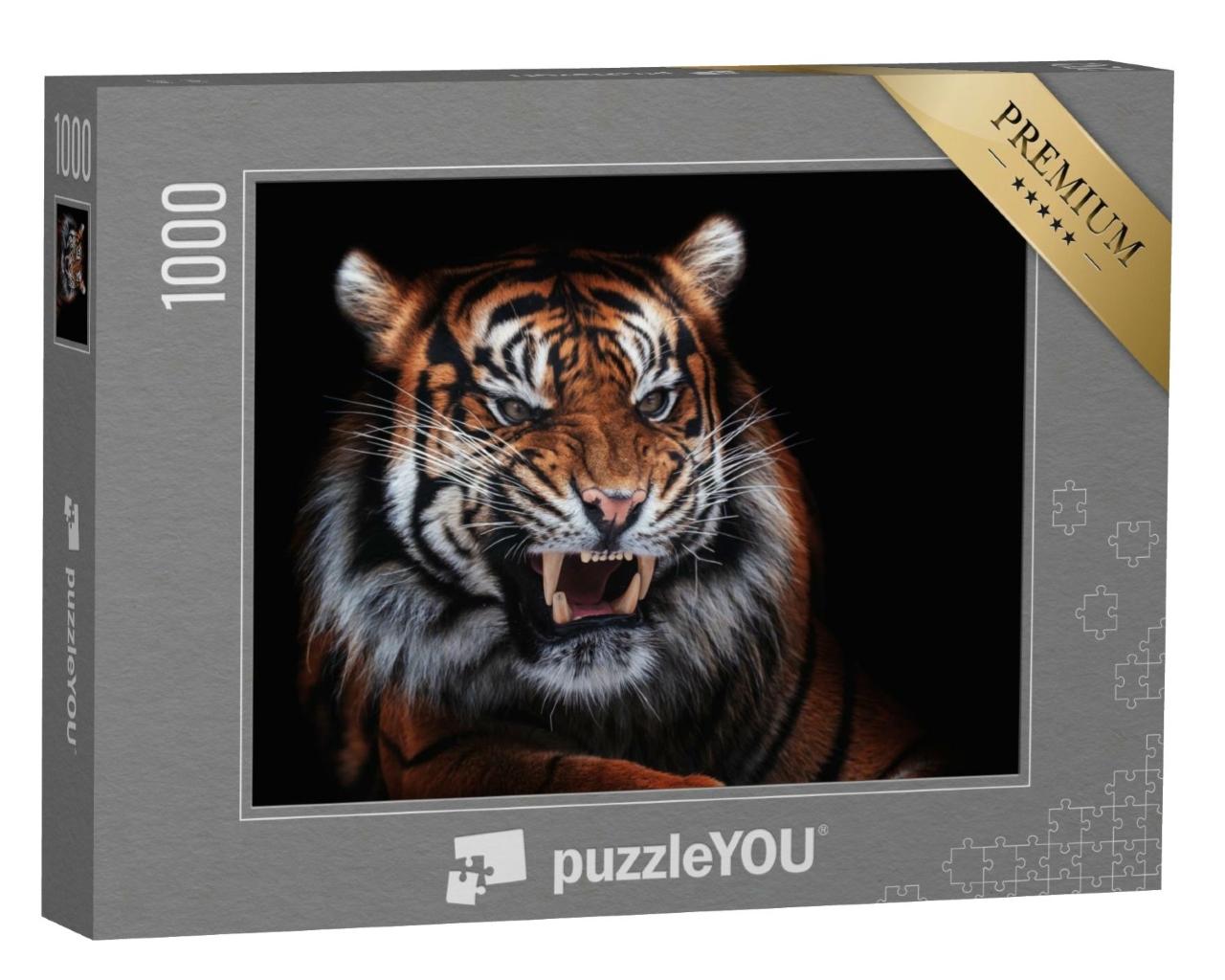 Puzzle de 1000 pièces « Tigre de Sumatra, bel animal, portrait »
